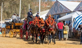 Feria de otoño 