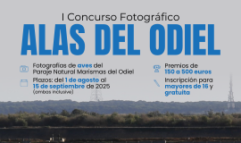 CONCURSO ALAS DEL ODIEL