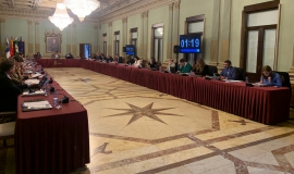 Pleno ordinario de diciembre 2022