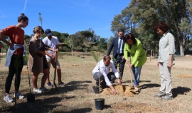 Creación Bosque Erasmus