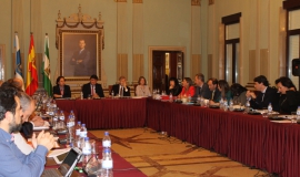 Pleno Mes de Marzo
