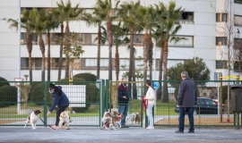 Área canina Pescadería