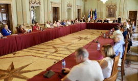 consejo local personas mayores