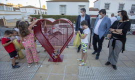 Tapones Solidarios Virgen del Rosario