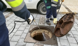 control plagas huelva