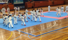 equipo
