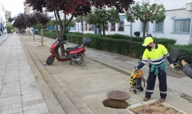 desinsectación preventiva