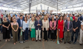 feria de la tapa