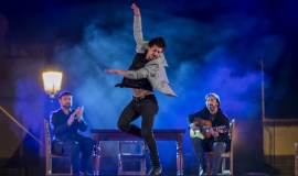 Festival Flamenco