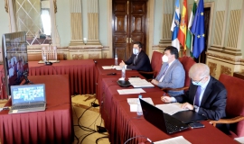 Pleno telemático