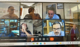 Reunión telemática PGOU