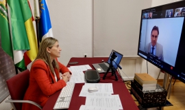 Videoconferencia