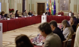 alegaciones presupuestos