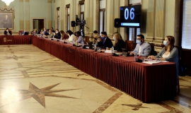 Pleno
