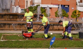 Plantaciones Flores
