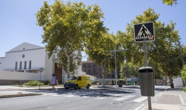 paso cebra