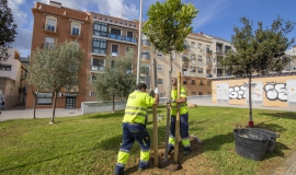 jornada arboricultura huelva