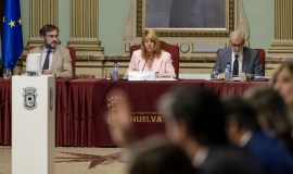 Pleno Extraordinario