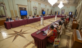 Pleno Julio 2025