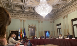Pleno Enero 2024