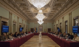 pleno febrero