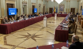 pleno personación accidente adamuz huelva