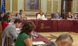 Pleno Junio 2025