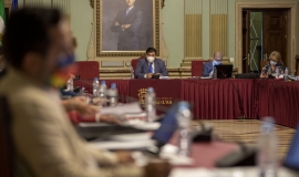Pleno junio 2021