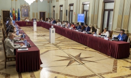 pleno mayo