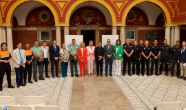 Dispositivo seguridad Magna Mariana