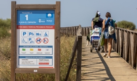 Accesible