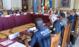 Junta Local seguridad Magna