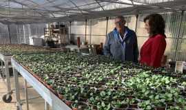 vivero