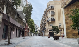 límite vehículos pesados calles peatonales