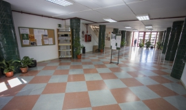 nuevas máquinas padrón huelva