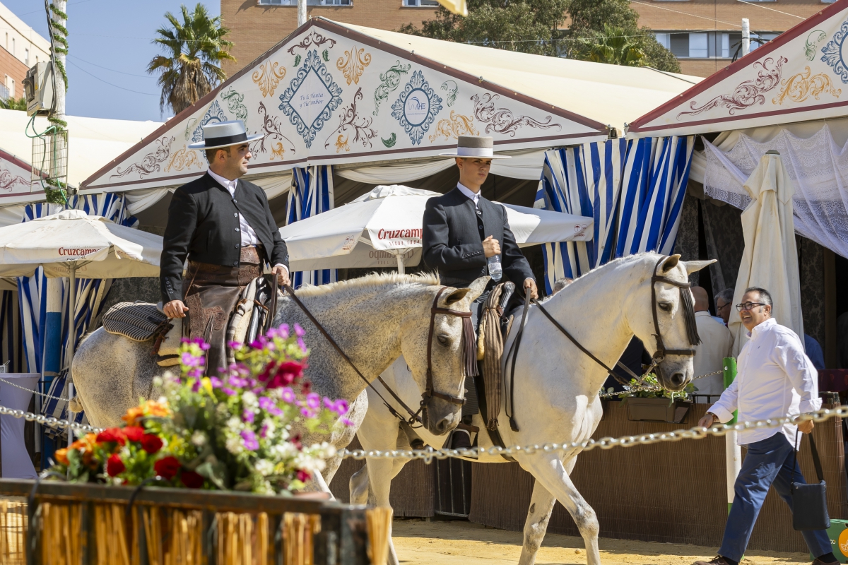 Solicitud casetas Feria del Caballo 