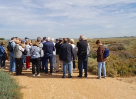 Visita Isla Saltés 22