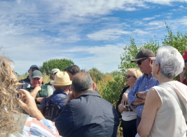 Visita Isla Saltés 54