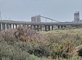 Visita Isla Saltés 23