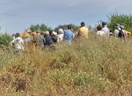 Visita Isla Saltés 37