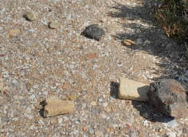 Visita Isla Saltés 59