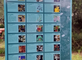 Visita Laguna Y La Rábida 54