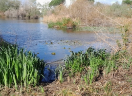 Visita Laguna Y La Rábida 56