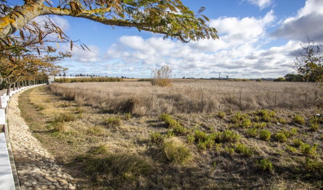Parcela futuro parque de bomberos