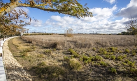 Parcela futuro parque de bomberos