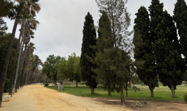 plan parque zafra